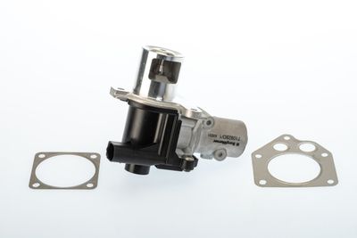 EGR Valve BorgWarner (Wahler) 710928D/1