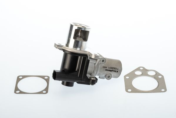 BorgWarner (Wahler) 710928D EGR Valve