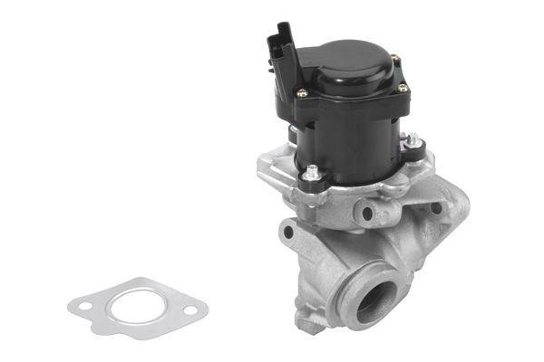 BorgWarner (Wahler) 710929R EGR Valve