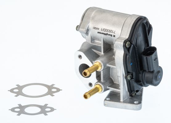 BorgWarner (Wahler) 710930D/1 EGR Valve