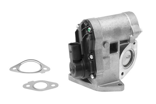BorgWarner (Wahler) 710930R EGR Valve