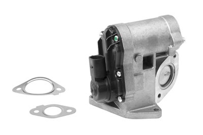 EGR Valve BorgWarner (Wahler) 710930R