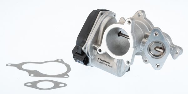BorgWarner (Wahler) 710931D EGR Valve