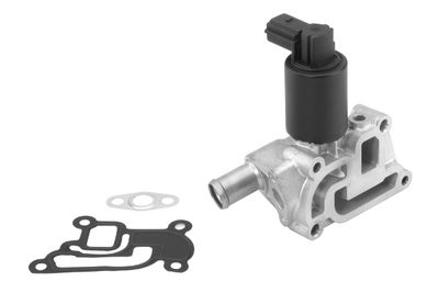 EGR Valve BorgWarner (Wahler) 710933R