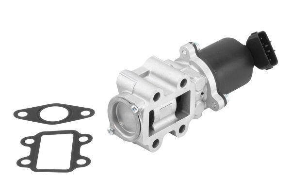BorgWarner (Wahler) 710934R EGR Valve