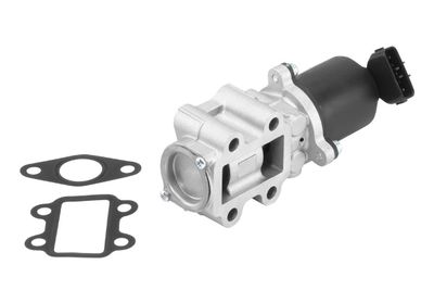 EGR Valve BorgWarner (Wahler) 710934R