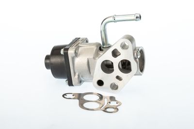 EGR Valve BorgWarner (Wahler) 710935D/1