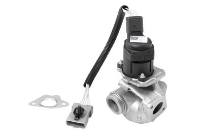 EGR Valve BorgWarner (Wahler) 710936R