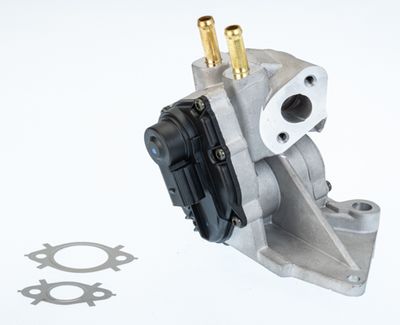 EGR Valve BorgWarner (Wahler) 710937D