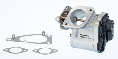 EGR Valve BorgWarner (Wahler) 710938D/1