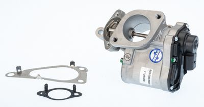 EGR Valve BorgWarner (Wahler) 710938R