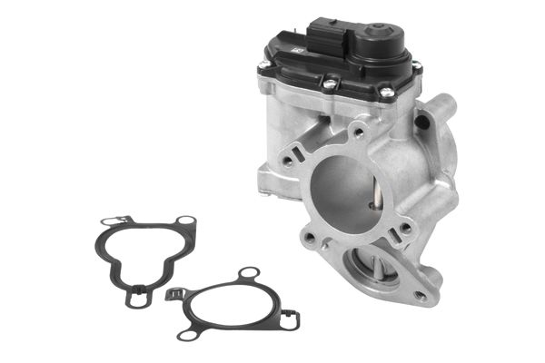 BorgWarner (Wahler) 710939R EGR Valve