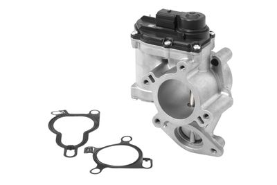 EGR Valve BorgWarner (Wahler) 710939R