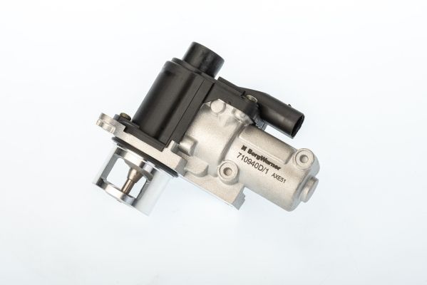 BorgWarner (Wahler) 710940D/1 EGR Valve