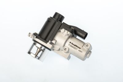 EGR Valve BorgWarner (Wahler) 710940D/1