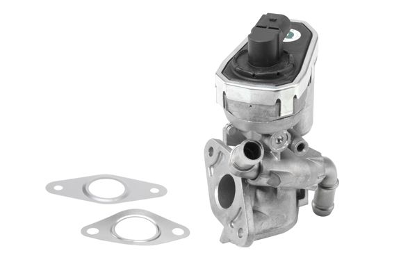 BorgWarner (Wahler) 710941R EGR Valve