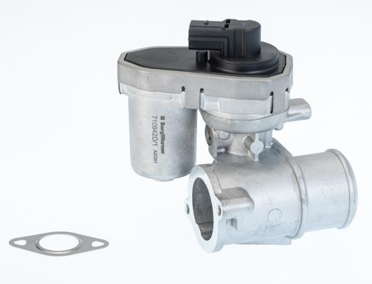 BorgWarner (Wahler) 710942D/1 EGR Valve