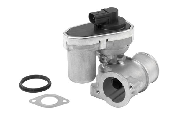 BorgWarner (Wahler) 710942R EGR Valve