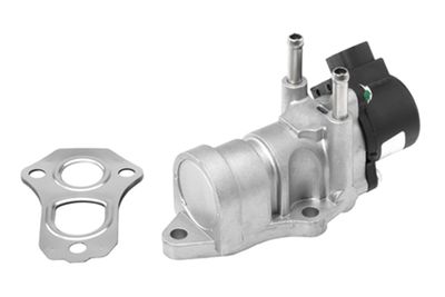 EGR Valve BorgWarner (Wahler) 710943R
