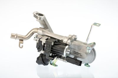 EGR Valve BorgWarner (Wahler) 710944D/1