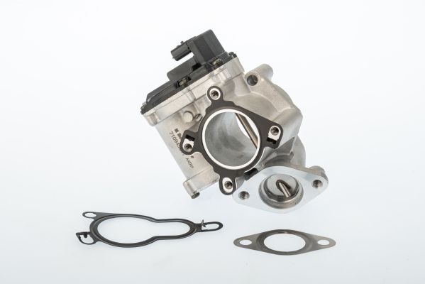 BorgWarner (Wahler) 710945D EGR Valve