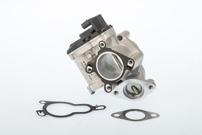 EGR Valve BorgWarner (Wahler) 710945D