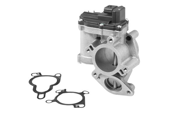 BorgWarner (Wahler) 710945R EGR Valve