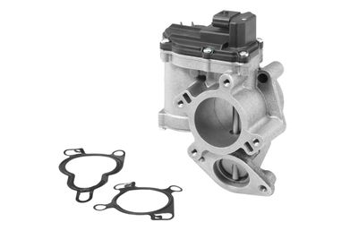 EGR Valve BorgWarner (Wahler) 710945R