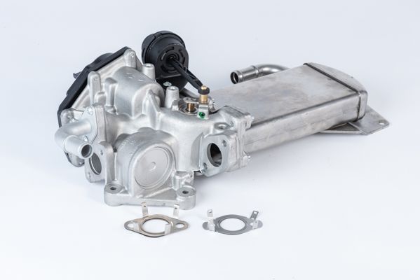 BorgWarner (Wahler) 710946R EGR Valve