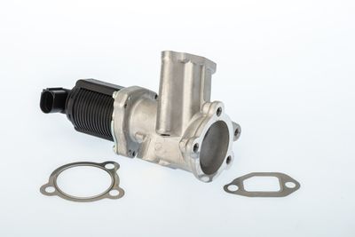 EGR Valve BorgWarner (Wahler) 710949D