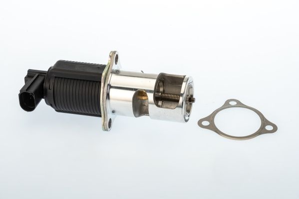 BorgWarner (Wahler) 710950R EGR Valve