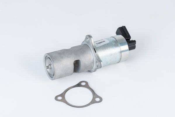 BorgWarner (Wahler) 710951R EGR Valve