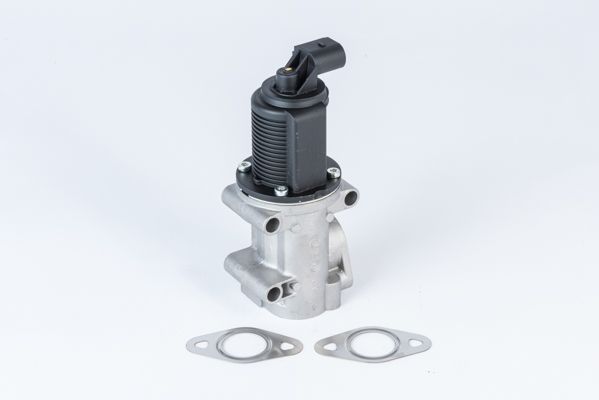 BorgWarner (Wahler) 710952R EGR Valve