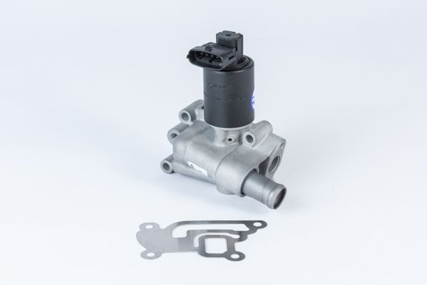 BorgWarner (Wahler) 710955R EGR Valve