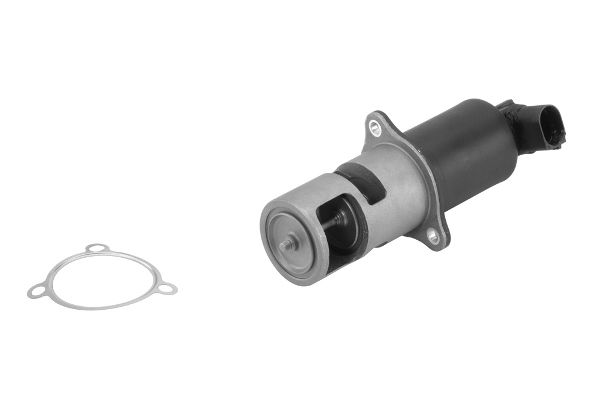 BorgWarner (Wahler) 710956R EGR Valve