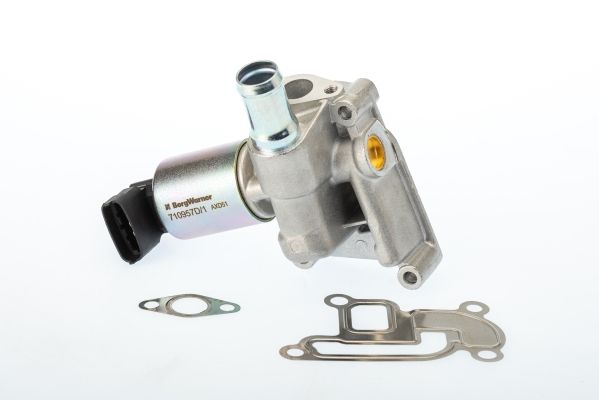 BorgWarner (Wahler) 710957R EGR Valve