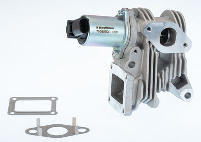 EGR Valve BorgWarner (Wahler) 710959D/1