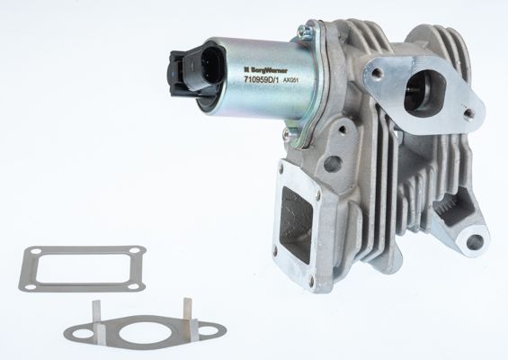 BorgWarner (Wahler) 710959D EGR Valve