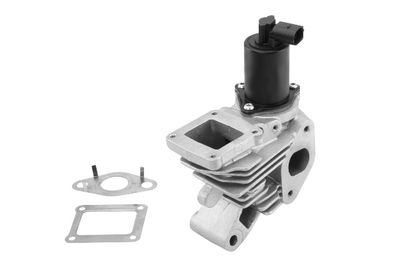 EGR Valve BorgWarner (Wahler) 710959R