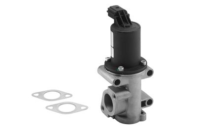 EGR Valve BorgWarner (Wahler) 710960R