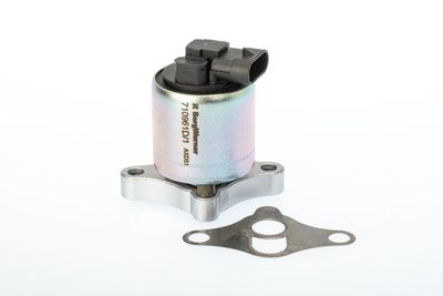 EGR Valve BorgWarner (Wahler) 710961D/1