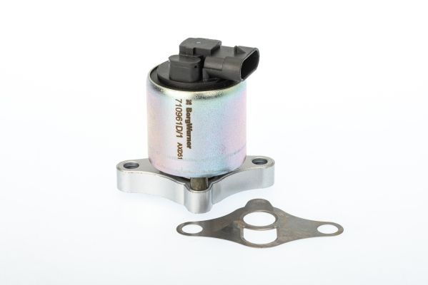 BorgWarner (Wahler) 710961D EGR Valve