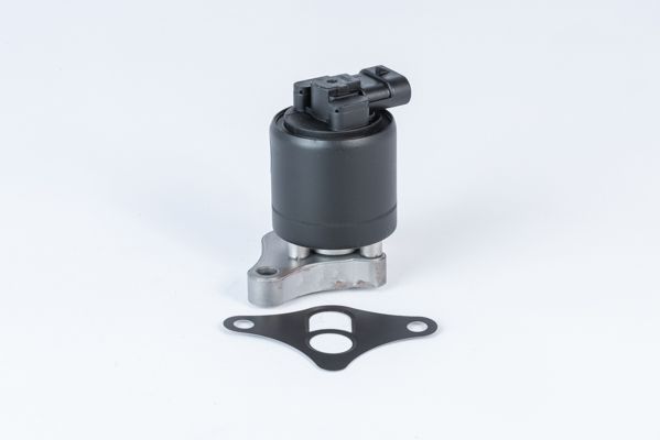 BorgWarner (Wahler) 710961R EGR Valve