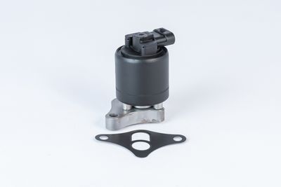 EGR Valve BorgWarner (Wahler) 710961R