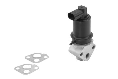 EGR Valve BorgWarner (Wahler) 710962R