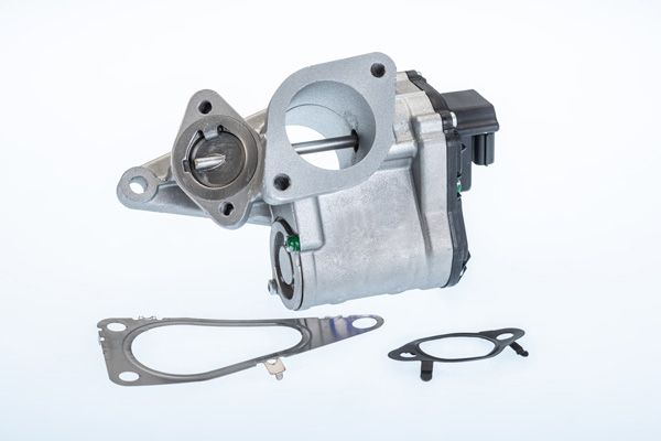 BorgWarner (Wahler) 710968R EGR Valve
