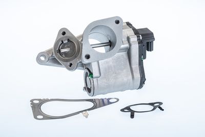 EGR Valve BorgWarner (Wahler) 710968R