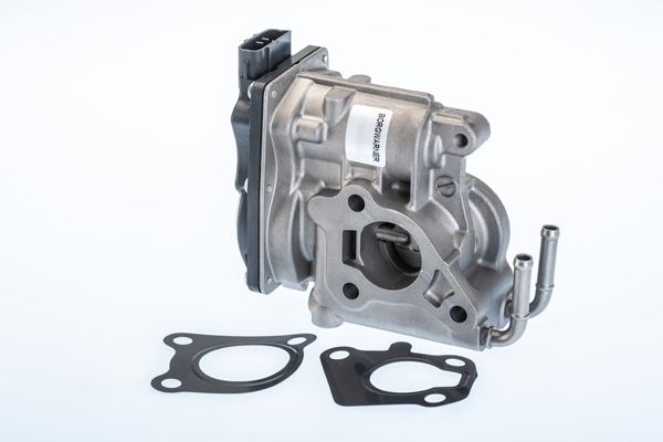 BorgWarner (Wahler) 710969R EGR Valve