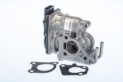 EGR Valve BorgWarner (Wahler) 710969R