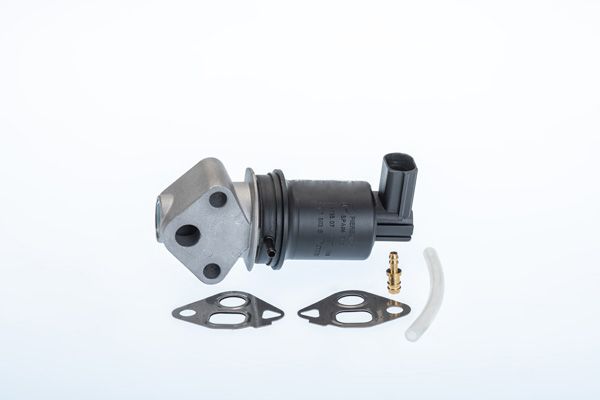 BorgWarner (Wahler) 710971R EGR Valve